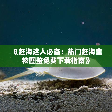 《赶海达人必备：热门赶海生物图鉴免费下载指南》