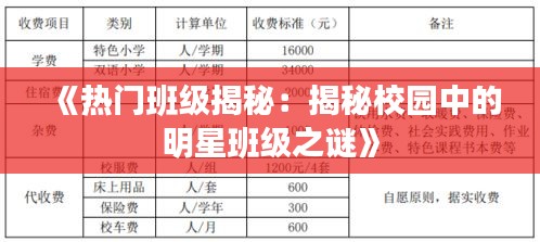《热门班级揭秘：揭秘校园中的明星班级之谜》