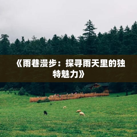 《雨巷漫步：探寻雨天里的独特魅力》