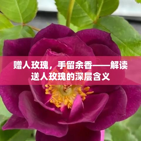 花成蜜就 第3页