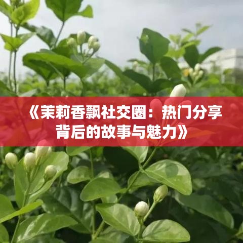 《茉莉香飘社交圈：热门分享背后的故事与魅力》