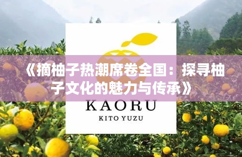 轻飞曼舞 第3页