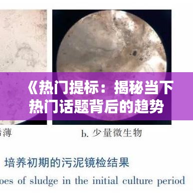 发硎新试 第3页