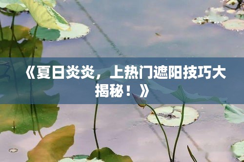 物离乡贵 第3页