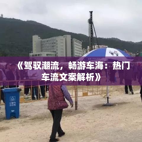 《驾驭潮流，畅游车海：热门车流文案解析》