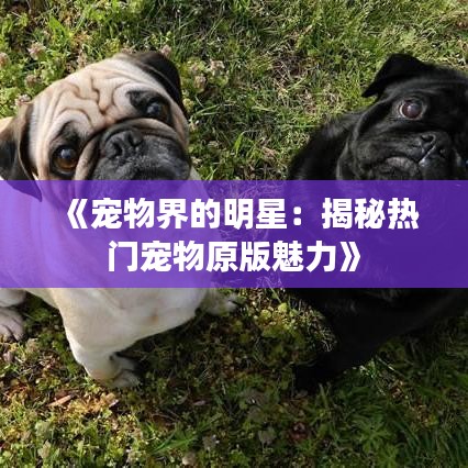 橘虞初梦 第3页