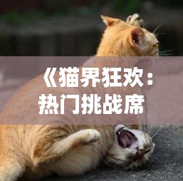 《猫界狂欢：热门挑战席卷网络，萌态百出引网友热议》