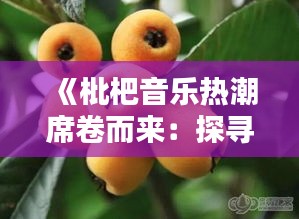 《枇杷音乐热潮席卷而来：探寻流行背后的文化内涵》
