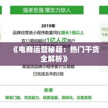 《电商运营秘籍：热门干货全解析》