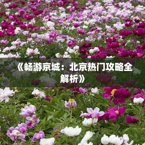 《畅游京城：北京热门攻略全解析》
