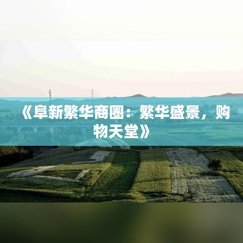 《阜新繁华商圈：繁华盛景，购物天堂》