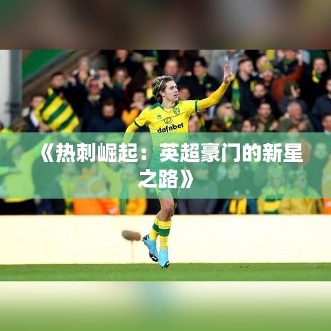 《热刺崛起：英超豪门的新星之路》