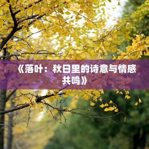 《落叶：秋日里的诗意与情感共鸣》