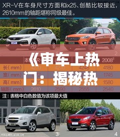 《审车上热门：揭秘热门车型的魅力与选购技巧》