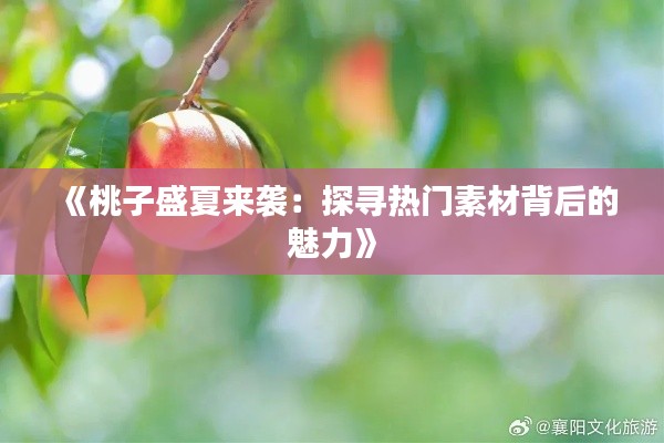 《桃子盛夏来袭：探寻热门素材背后的魅力》