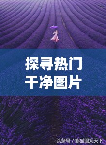 矫枉过正 第3页