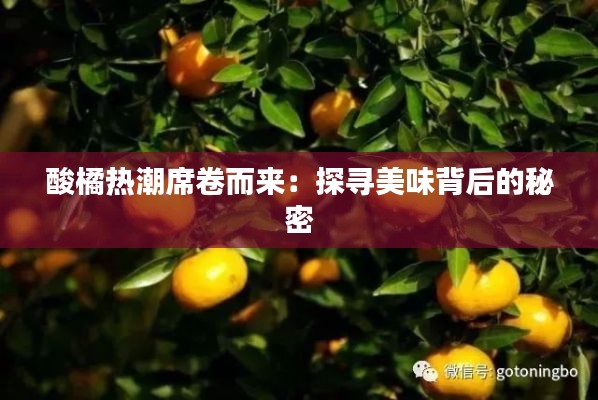 接连不断 第3页