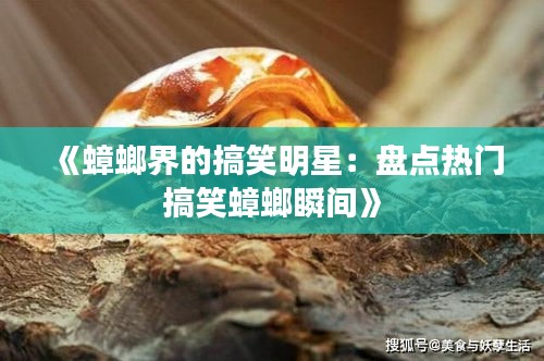 《蟑螂界的搞笑明星：盘点热门搞笑蟑螂瞬间》