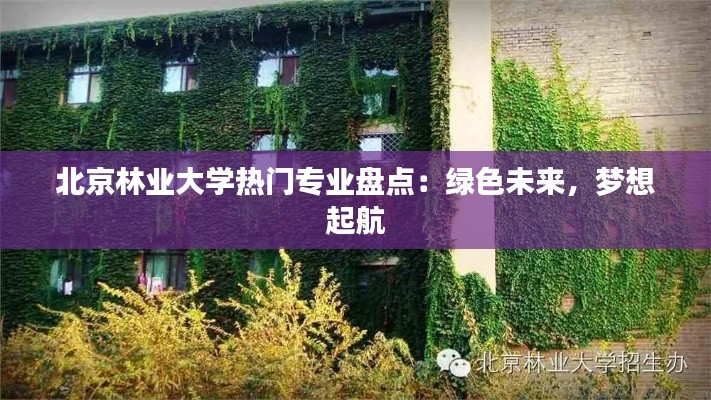 北京林业大学热门专业盘点：绿色未来，梦想起航