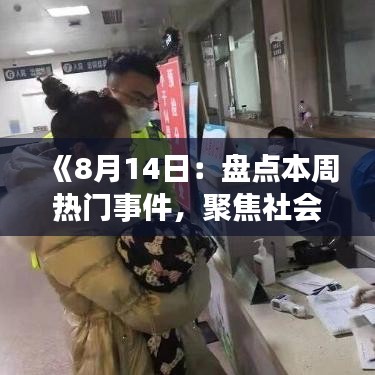 《8月14日：盘点本周热门事件，聚焦社会热点》