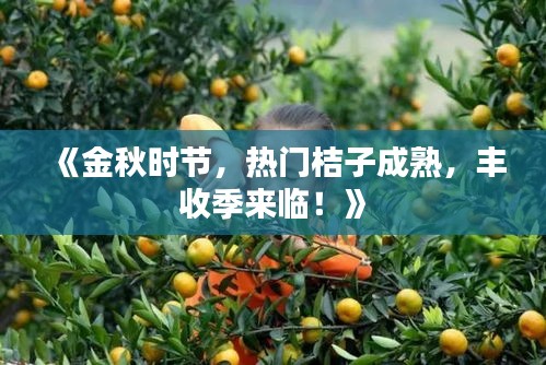 《金秋时节，热门桔子成熟，丰收季来临！》