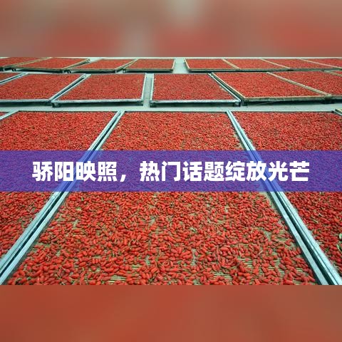 骄阳映照，热门话题绽放光芒