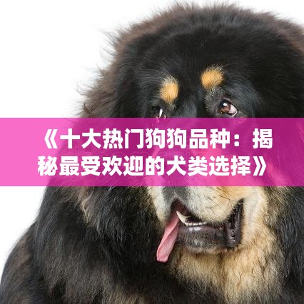 《十大热门狗狗品种：揭秘最受欢迎的犬类选择》