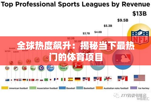 全球热度飙升：揭秘当下最热门的体育项目
