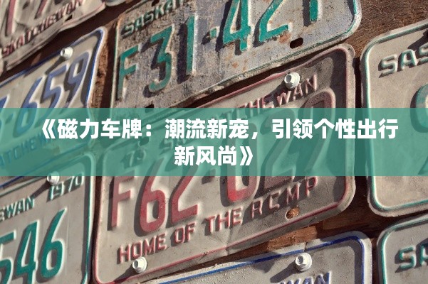 《磁力车牌：潮流新宠，引领个性出行新风尚》