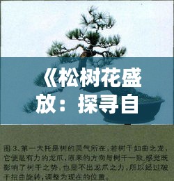 《松树花盛放：探寻自然界的瑰宝与养生之道》