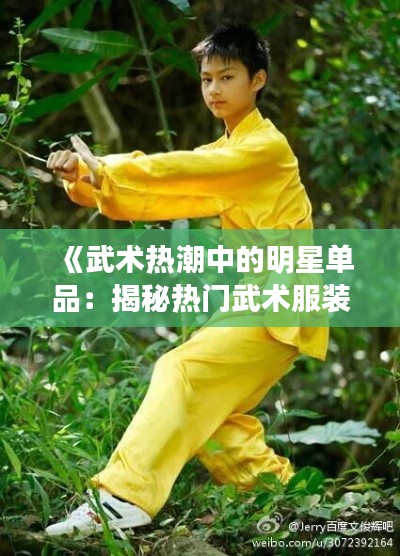 《武术热潮中的明星单品：揭秘热门武术服装之谜》