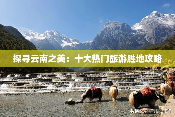 探寻云南之美：十大热门旅游胜地攻略