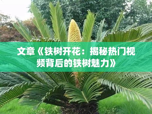 笔走如飞 第3页