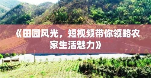 一石三鸟