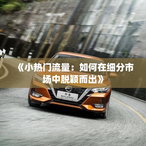 《小热门流量：如何在细分市场中脱颖而出》
