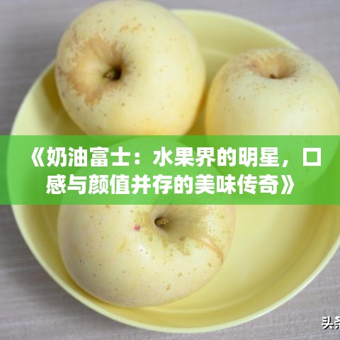 撺哄鸟乱