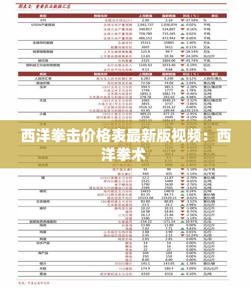 西洋拳击价格表最新版视频：西洋拳术 
