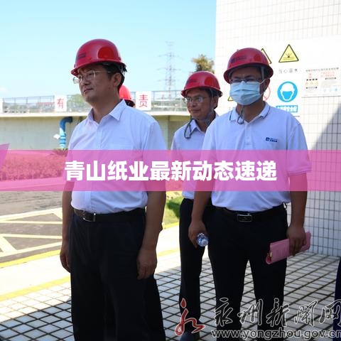 云龙井蛙 第3页