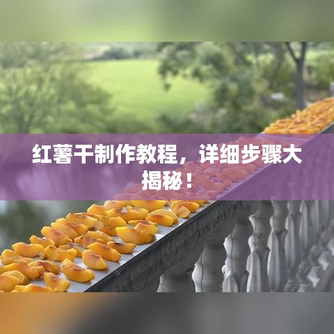 红薯干制作教程，详细步骤大揭秘！