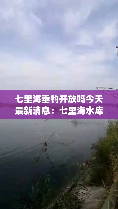惨淡经营 第3页