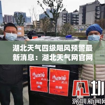 自作主张 第3页