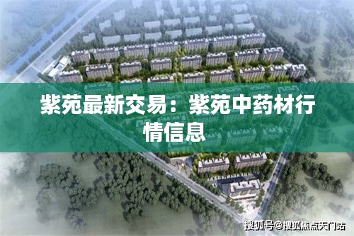 展翅欲飞 第3页