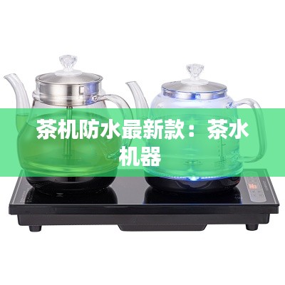 走马观花 第2页