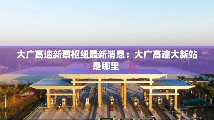 大广高速新蔡枢纽最新消息：大广高速大新站是哪里 