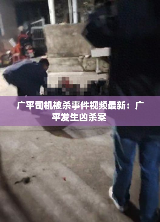 广平司机被杀事件视频最新：广平发生凶杀案 