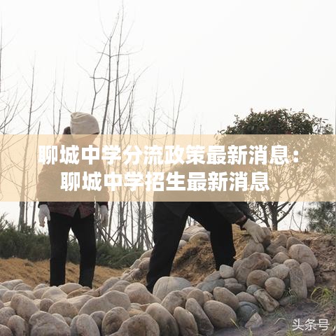 推襟送抱 第2页