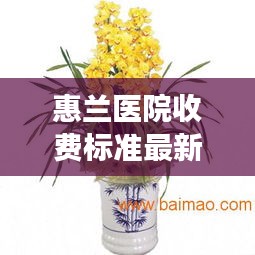 惠兰医院收费标准最新公告：惠兰医院是公立医院吗 