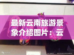 不飞则已 第2页
