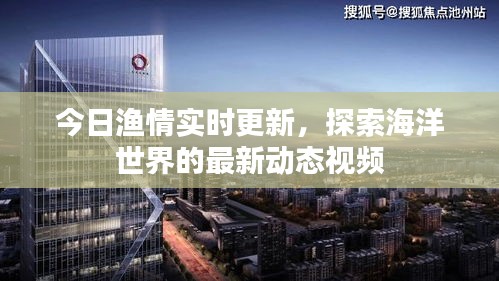 今日渔情实时更新，探索海洋世界的最新动态视频