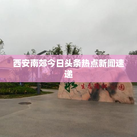 西安南郊今日头条热点新闻速递